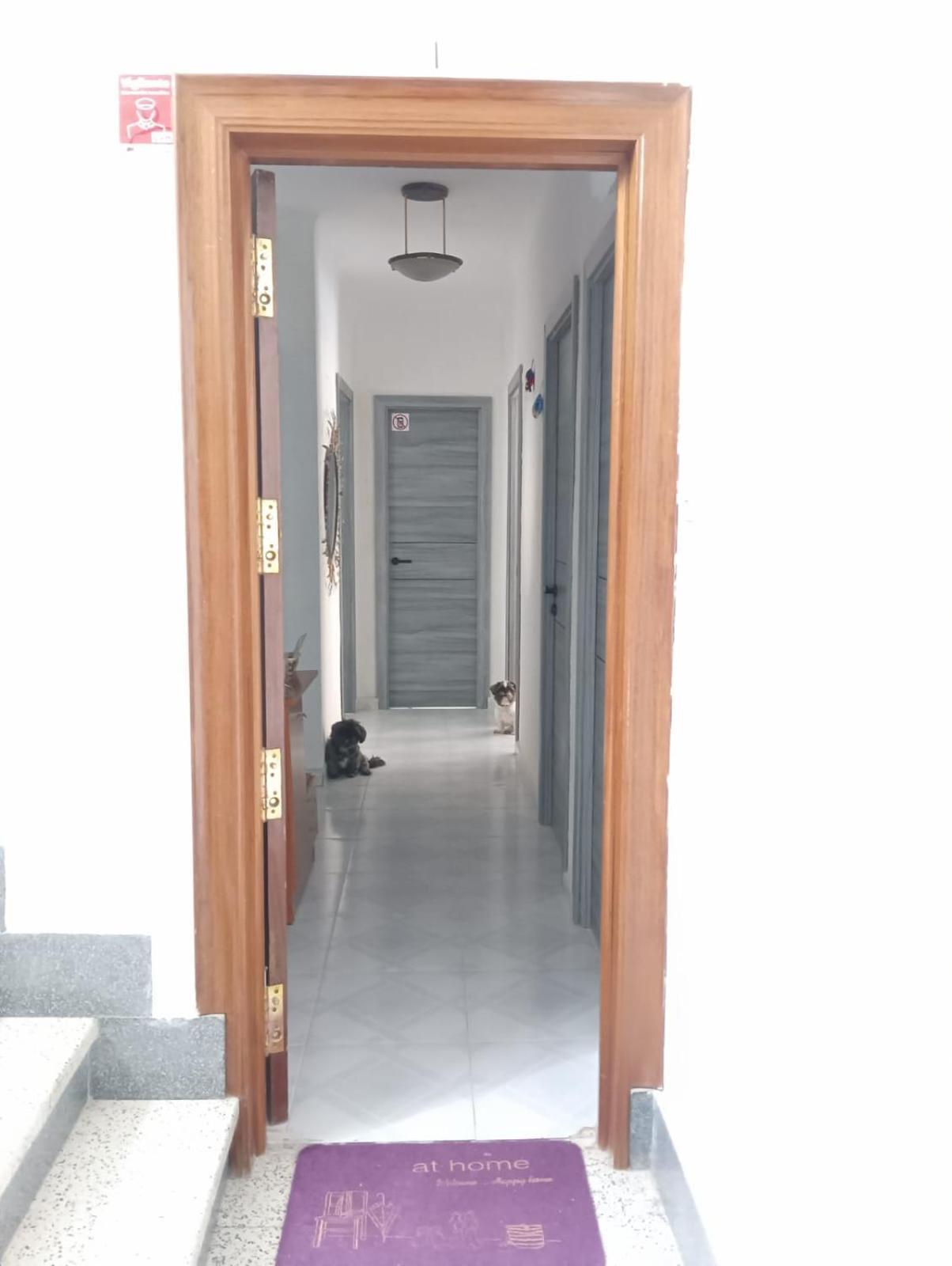 Alicante Habitacion Oasis Экстерьер фото