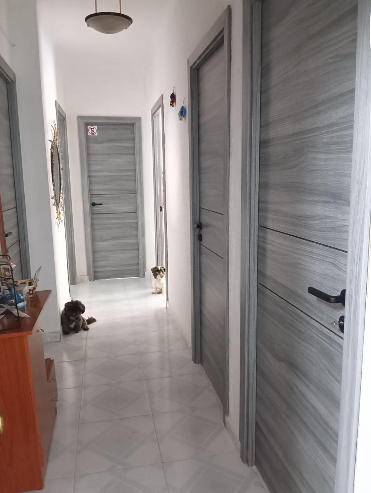 Alicante Habitacion Oasis Экстерьер фото